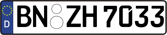 BN-ZH7033