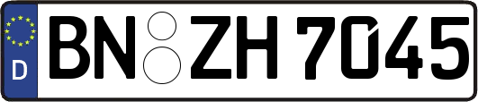 BN-ZH7045