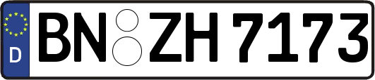 BN-ZH7173