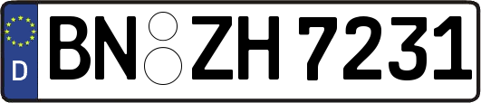 BN-ZH7231