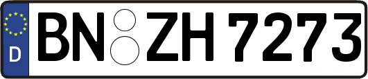 BN-ZH7273