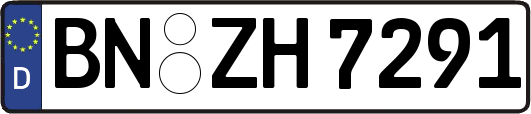 BN-ZH7291