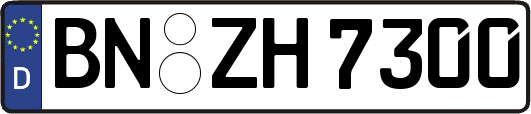BN-ZH7300