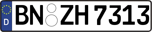 BN-ZH7313