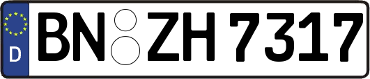BN-ZH7317