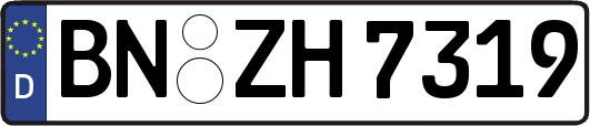 BN-ZH7319