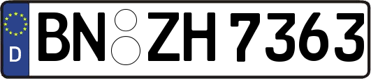 BN-ZH7363