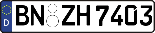 BN-ZH7403