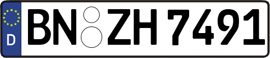 BN-ZH7491