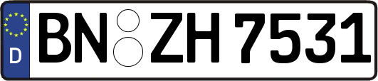 BN-ZH7531