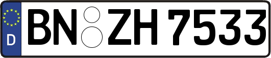 BN-ZH7533