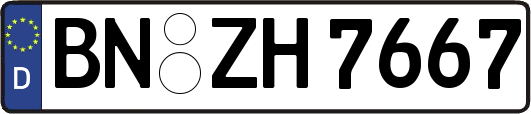 BN-ZH7667