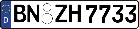 BN-ZH7733