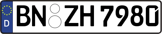 BN-ZH7980