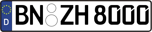 BN-ZH8000