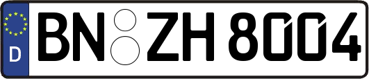 BN-ZH8004