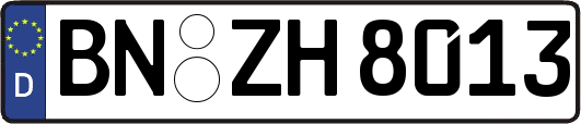 BN-ZH8013