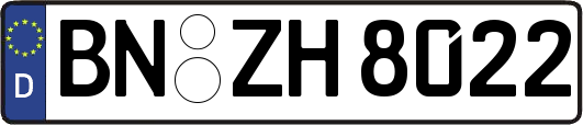 BN-ZH8022