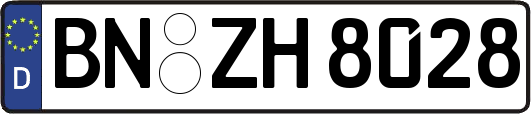 BN-ZH8028