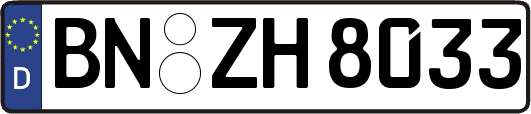 BN-ZH8033