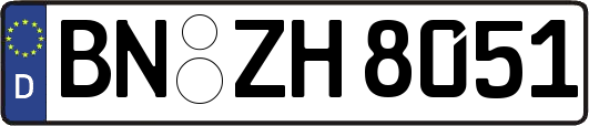 BN-ZH8051