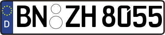 BN-ZH8055