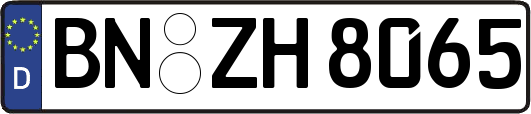 BN-ZH8065
