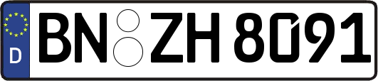 BN-ZH8091