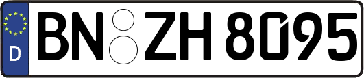 BN-ZH8095