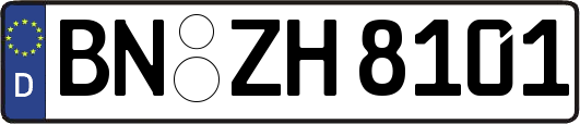 BN-ZH8101