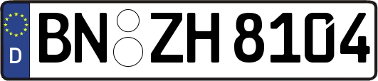 BN-ZH8104