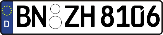 BN-ZH8106