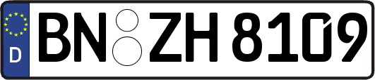 BN-ZH8109