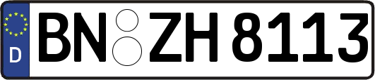 BN-ZH8113