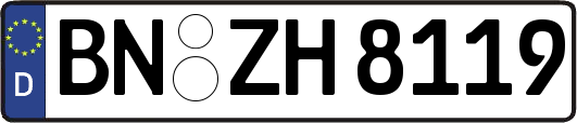 BN-ZH8119