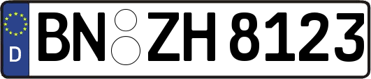 BN-ZH8123