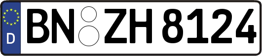 BN-ZH8124