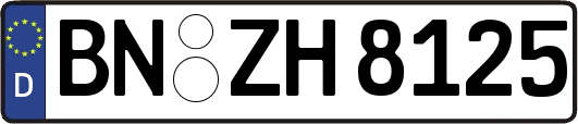 BN-ZH8125