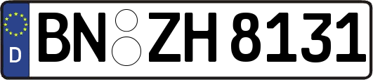 BN-ZH8131