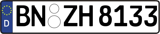 BN-ZH8133
