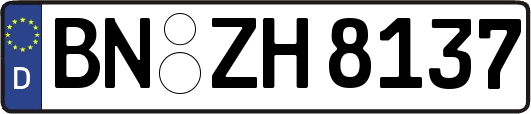 BN-ZH8137