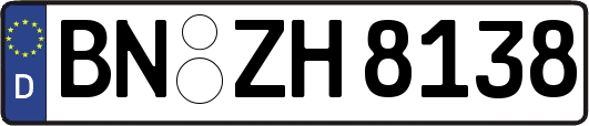 BN-ZH8138