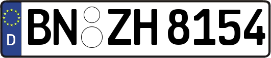 BN-ZH8154