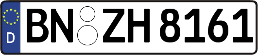 BN-ZH8161