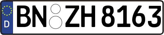 BN-ZH8163