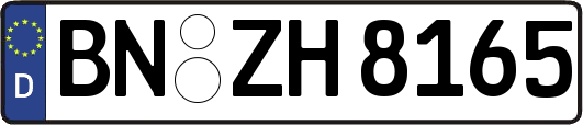 BN-ZH8165
