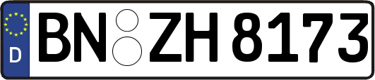 BN-ZH8173