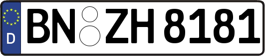 BN-ZH8181