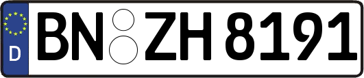 BN-ZH8191