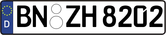 BN-ZH8202